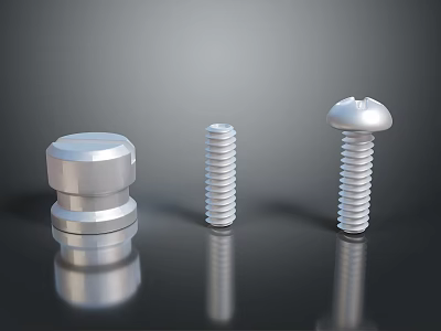 Metal Fasteners Collection Featuring Cylindrical And Round Head Screws On Reflective Surface 3d model