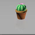 Decorative Green Cactus with Pink Flower and White Spines in Orange Ceramic Pot