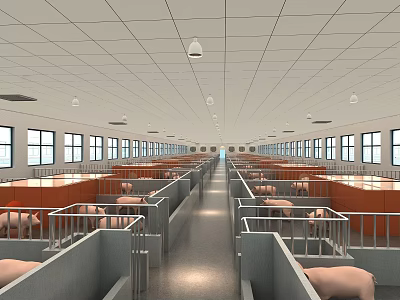 Modern Pig Farm With Spacious Pens And Healthy Pigs In Clean Environment 3d model