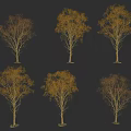 Tree 3d model