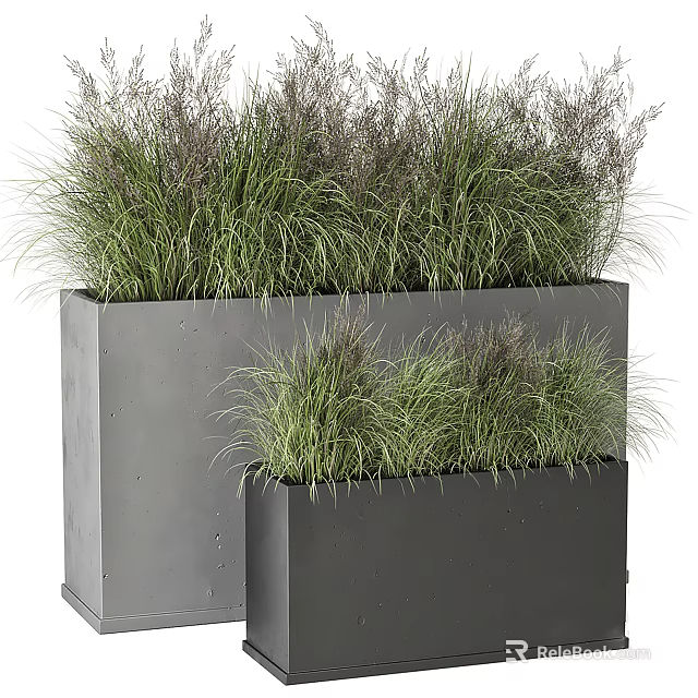 Stylish Garden Decor Pieces Featuring Grey Rectangular Planters And Lush Ornamental Grasses 3d model 