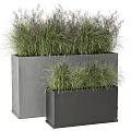 Stylish Garden Decor Pieces Featuring Grey Rectangular Planters And Lush Ornamental Grasses 3d model