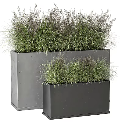 Stylish Garden Decor Pieces Featuring Grey Rectangular Planters And Lush Ornamental Grasses 3d model