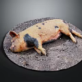 Brown And Black Spotted Pig Lying Relaxed On Muddy Ground Surface 3d model