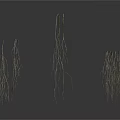 Organ Hair Filament Structures Showing Branched Growths on Isolated White Background