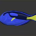 Vibrant Blue Tang Fish With Yellow Tail And Fins In Aquarium
