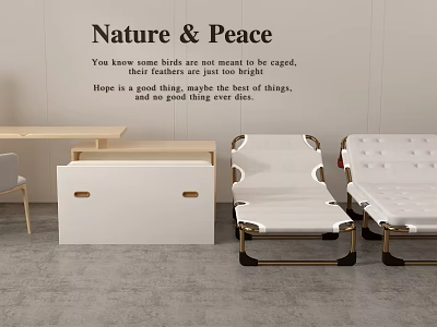 Modern Single Beds With White Mattress Gold Frame And Cabinet In Peaceful Room 3d model