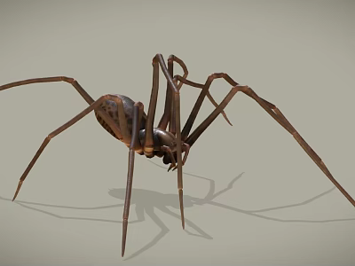 Realistic Reptile With Long Legs And Brown Body Casting Shadow 3d model