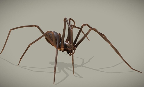 poisonous spider red spider black spider redback spider reptile 3d model