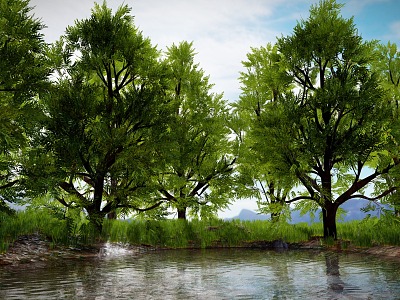 Trees Forest Scenes Trees Shrubs Big Trees Green Plant Trunks 3d model