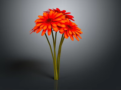 Blooming Red Gerbera Flowers With Green Stems Against Gray Background 3d model