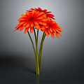 Blooming Red Gerbera Flowers With Green Stems Against Gray Background