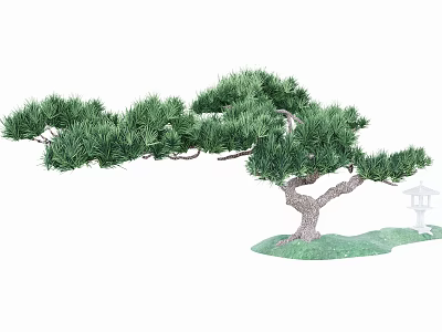 Ornamental Arbor With Curved Trunk And Lush Green Foliage On Grass Base With Small Lantern 3d model