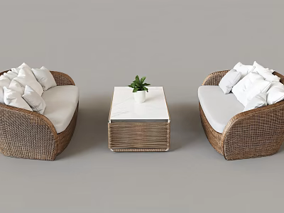 Leisure Sofa Combination with Rattan Design White Cushions and Coffee Table with Potted Plant 3d model