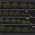 Various Arbor Tree Designs With Thin Line Black Gray Tone And Golden Leaf Material 3d model
