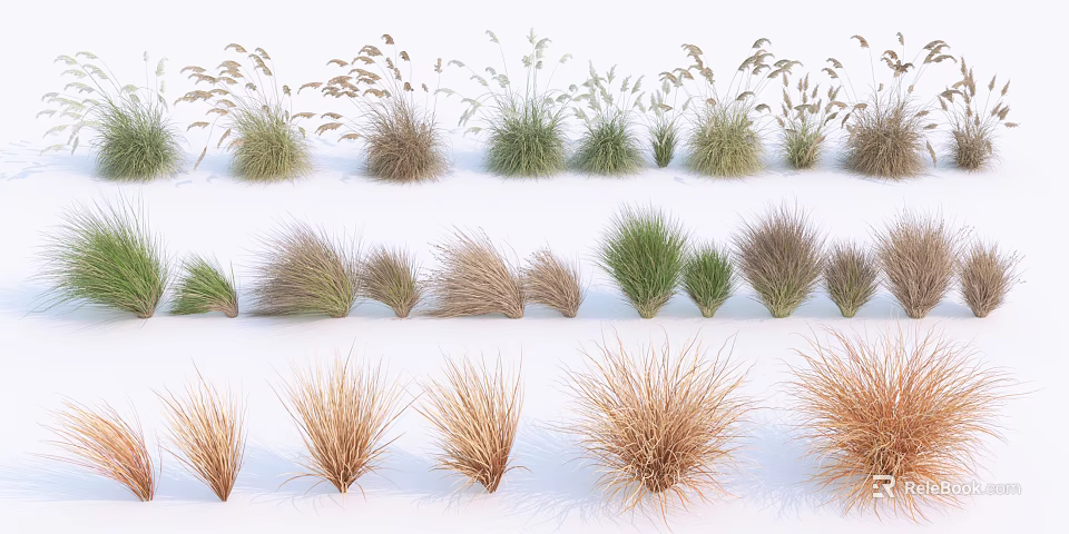 Various Types Of Herbaceous Plants With Different Colors And Textures Arranged On White Background 3d model 