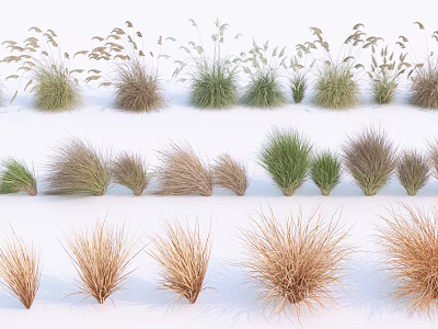 Various Types Of Herbaceous Plants With Different Colors And Textures Arranged On White Background 3d model