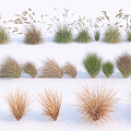 Modern Grass 3d model