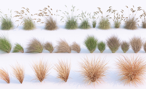 Modern Grass 3d model