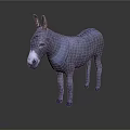 Gray Donkey Standing With White Nose And Ears Against Dark Gradient Background With Reflection