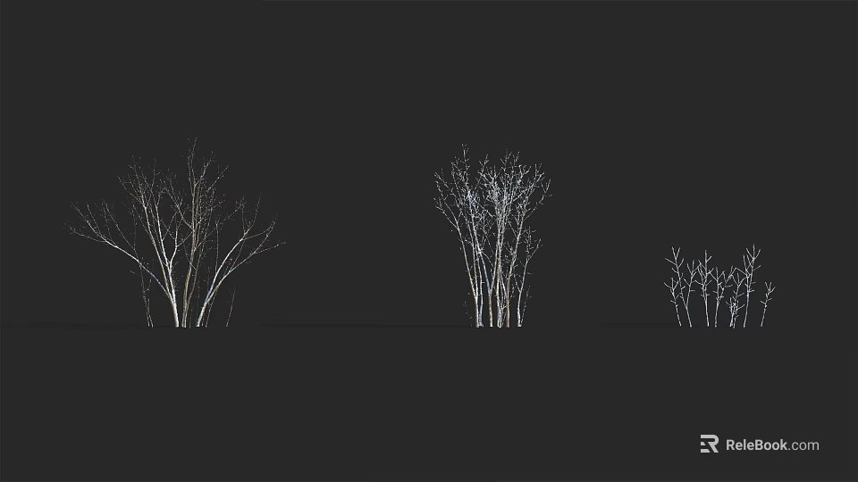 Leafless Trees With Different Forms And Clear Branches Against Black Background 3d model