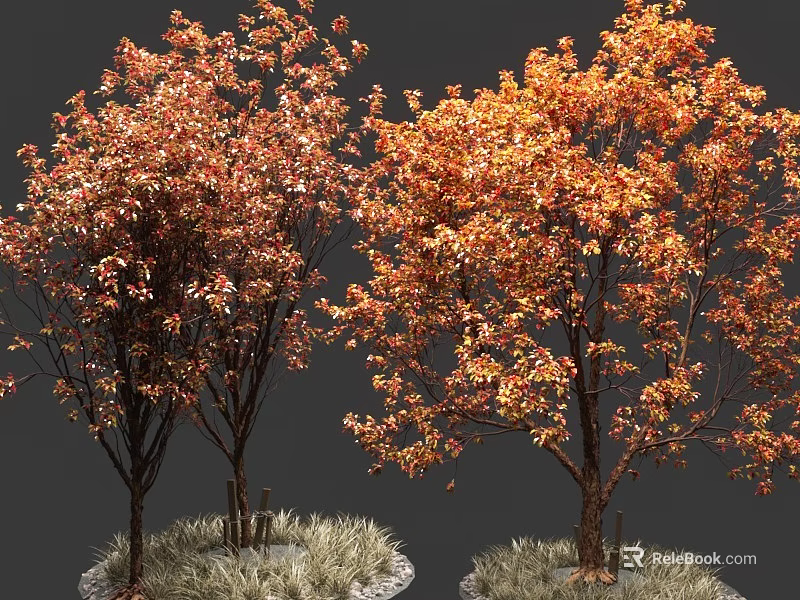 Tall Lush Trees With Vibrant Orange Red Leaves And Grassy Base 3d model 