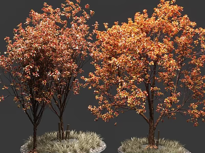 Tall Lush Trees With Vibrant Orange Red Leaves And Grassy Base 3d model