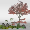 Tree Landscape Tree Red Maple Plant Pile 3d model