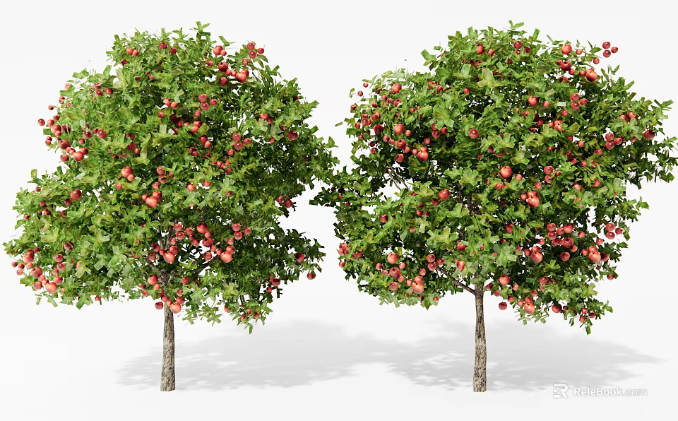 Lush Pair Of Fruit Trees With Green Leaves And Red Fruits In Garden 3d model 