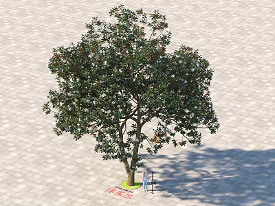 Lush Arbor With Green Leaves White Flowers And Signboard On Stone Slab Ground With Shadow 3d model