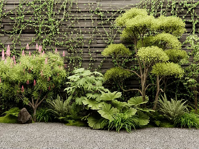 Lush Plant Combination In Front Of Wooden Wall And Gravel 3d model