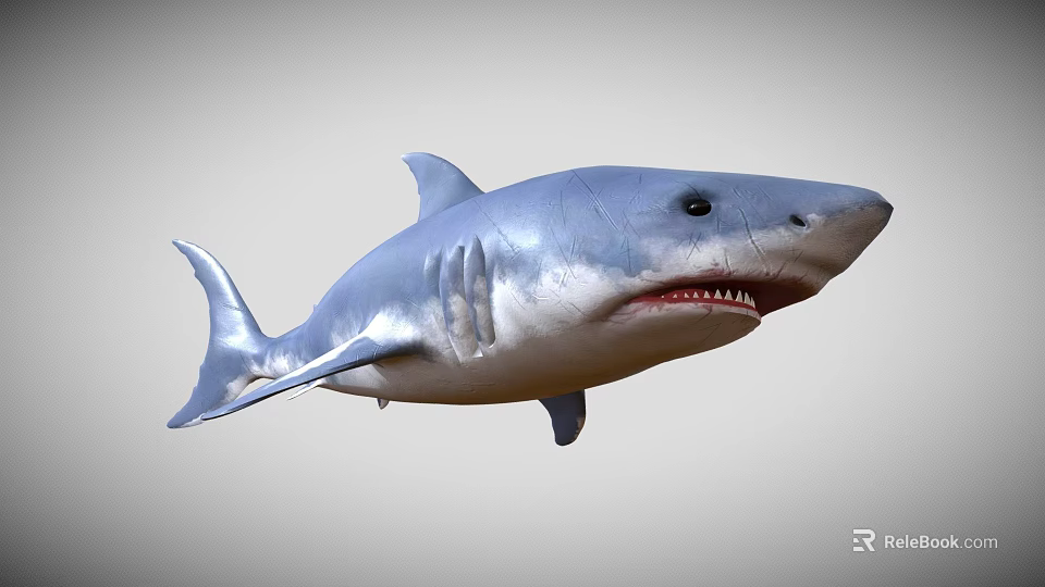 Realistic Blue Shark 3D Model With Open Mouth And Sharp Teeth 3d model 