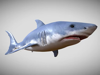 Realistic Blue Shark 3D Model With Open Mouth And Sharp Teeth 3d model