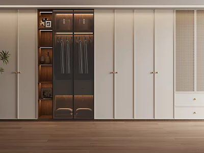 Modern Wardrobe Interior Design With Glass Doors White Panels Hanging Rods And Shelves 3d model