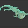 Pale Reptile Gecko With Smooth Skin Resting On Black Surface Showing Reflection