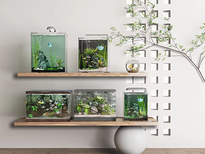Stylish Indoor Aquarium Fish Tanks on Wooden Shelves with Aquatic Plants and Small Fish 3d model