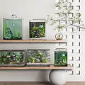 Stylish Indoor Aquarium Fish Tanks on Wooden Shelves with Aquatic Plants and Small Fish