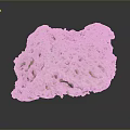 Natural Aquatic Animal Sponge With Porous Surface And Soft Underwater Texture