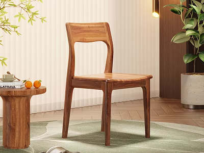 Natural Wooden Dining Chair With Side Table Fruits Mug Plants And Green Rug 3d model