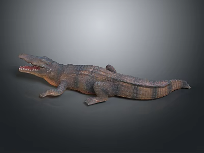 3D Rendered Crocodile Open Mouth Brown Gray Textured Skin Lying On Gray Gradient Background 3d model