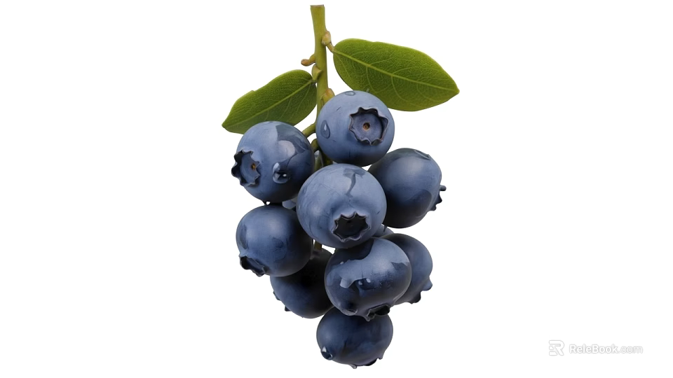 Fresh Ripe Blueberry Cluster With Vibrant Green Leaves And Plump Berries 3d model 