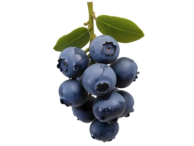 Fresh Ripe Blueberry Cluster With Vibrant Green Leaves And Plump Berries 3d model
