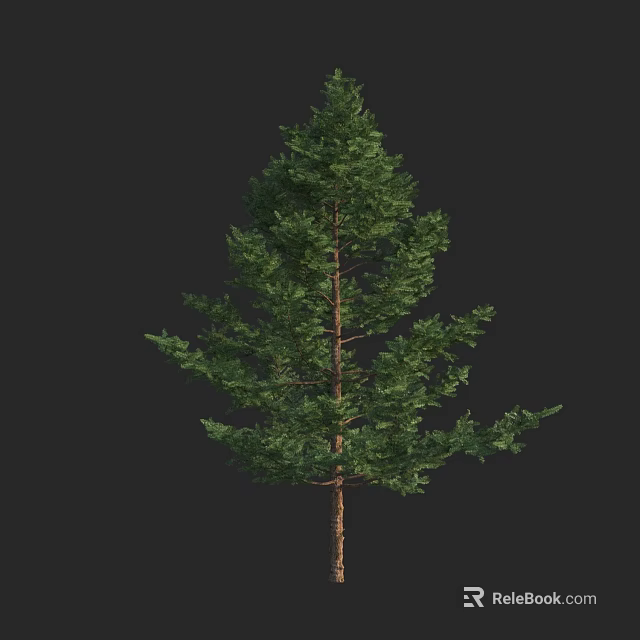 Tall Evergreen Arbor with Dense Green Foliage and Brown Trunk in Natural Scene 3d model 