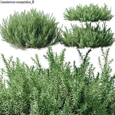 Decorative Ornament Set With Various Lush Green Plants For Home Decor 3d model