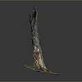 Natural Wood And Stone Decorative Stump With Green Mossy Base And Textured Trunk