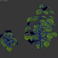 Lush Green Shrubs With Vibrant Leaves In Two Different Sizes 3d model