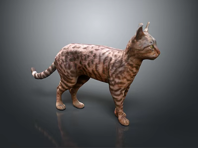 Spotted Cat Standing in Erect Posture against Dark Background with Slender Tail and Ears 3d model