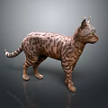 Spotted Cat Standing in Erect Posture against Dark Background with Slender Tail and Ears 3d model