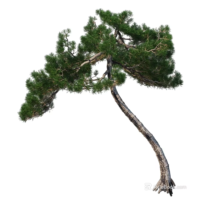 Curved Trunk Arbor With Lush Green Foliage And Natural Shape 3d model 