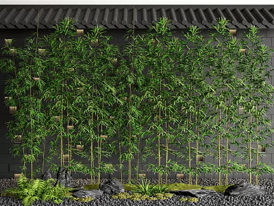Bamboo Grove In Traditional Chinese Garden With Rocks And Ferns 3d model